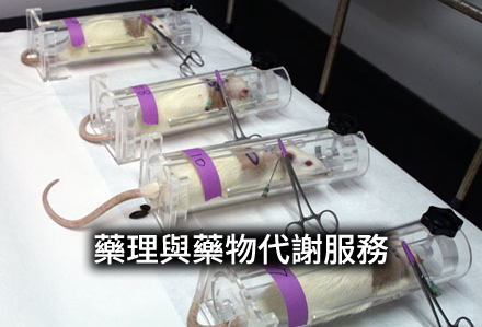 藥理與藥物代謝服務